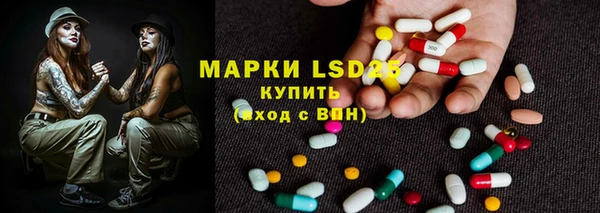 ГАЛЛЮЦИНОГЕННЫЕ ГРИБЫ Волосово