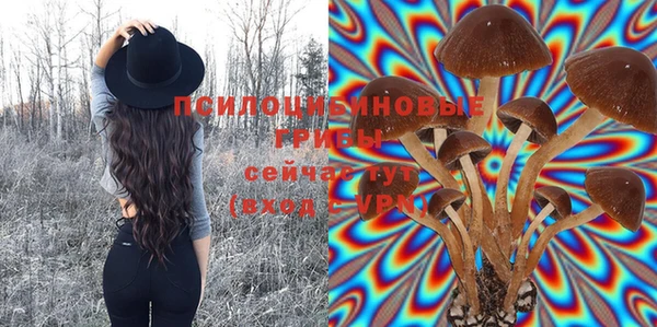 дмт Волоколамск