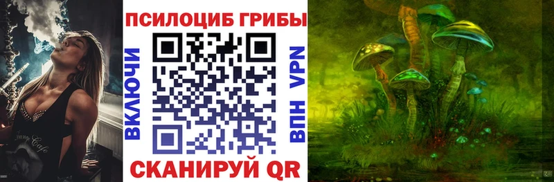 Галлюциногенные грибы MAGIC MUSHROOMS  Железногорск-Илимский 